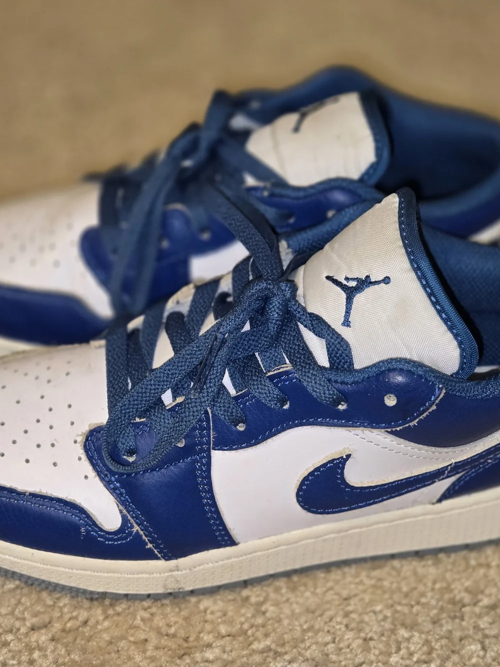 Nike Air Jordan 1 Low in the 